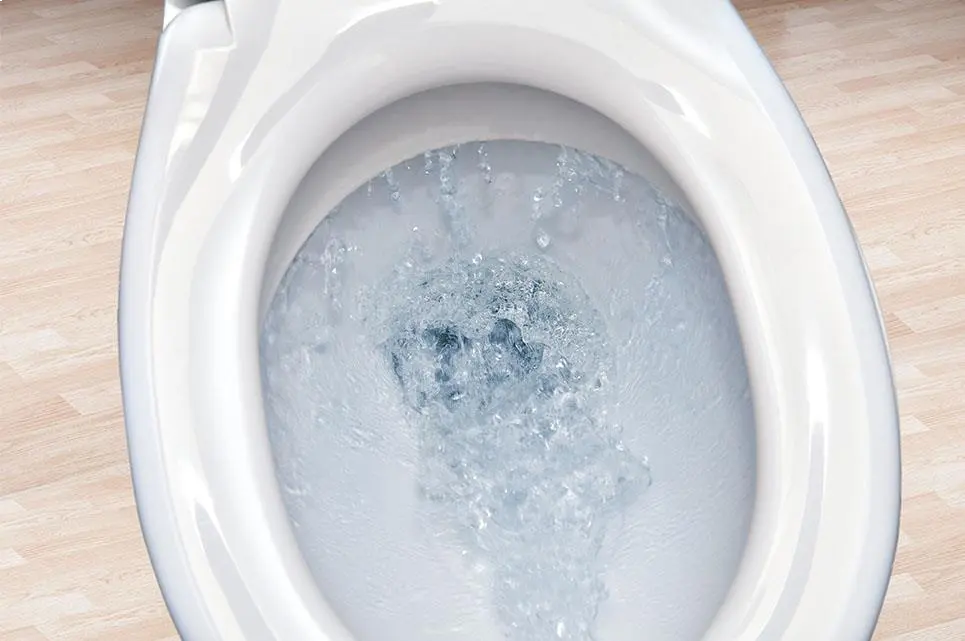 how to clean a toilet 3